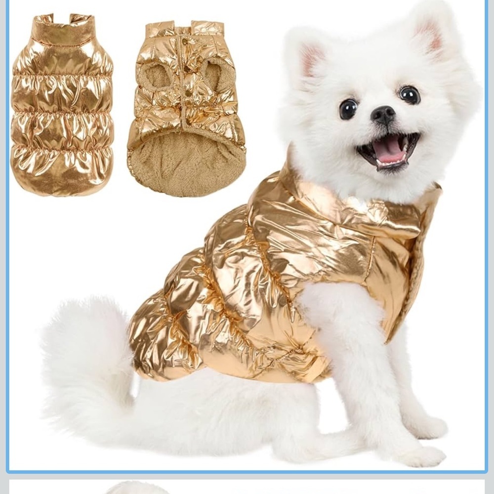 Brand new gold metallic dog puffer coat
Perfect for cold weather walks! - Picture 4 of 6